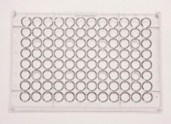 96 Well Mikrotiterplatten Microtiter™