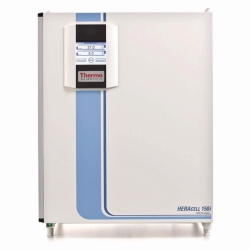 CO<sub>2</sub>-Inkubatoren mit Innenbehälter Heracell™ 150i/240i