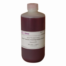 Staining Solution Ponceau S