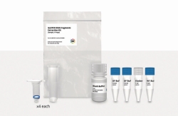 Gel / PCR / DNA Fragment Extraction Kit