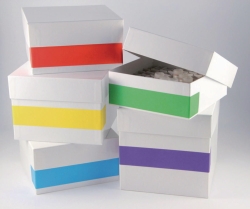 Cryo labels Rainbow