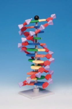 Molekülbaukastensystem miniDNA<sup>®</sup> / RNA Kits