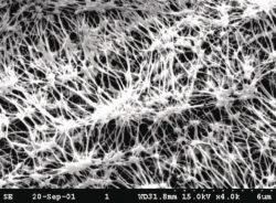 Membranfilter Sorte TE, PTFE mit Gewebeunterstützung