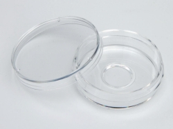 Coupelles avec fond en verre, Nunc™, verre borosilicate