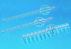 PCR-Gefässe 8er-Strips, PP, ohne Deckel