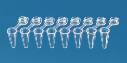 PCR-Gefässe, 8er Strips mit anhängenden Einzeldeckeln, PP