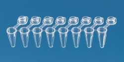 PCR-Gefässe, 8er Strips, PP, mit anhängenden Einzeldeckeln, 1 Steg