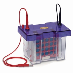 Blotter humide omniBLOT