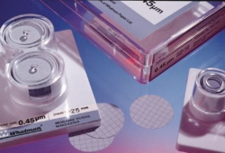 Membrane filtrante en esters mixtes de cellulose