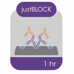 Blockierlösung für Western Blot