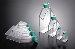 Zellkulturflaschen, behandelt, PS, steril