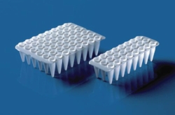 24 / 48 well PCR Plates, non-skirted, PP, for qPCR