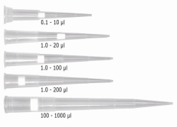 Filterspitzen Low Retention 2.0, PP