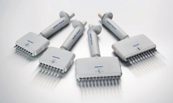 Multichannel microliter pipettes Eppendorf Reference<sup>®</sup> 2 (General Lab Product), variable