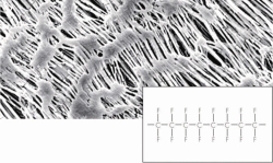 Membranfilter, hydrophob, PTFE