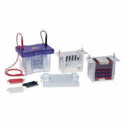 Cuves d'électrophorèse OmniPAGE Mini
