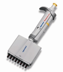 Micropipette multicanaux Eppendorf Research® Plus (General Lab Product), à volume variable