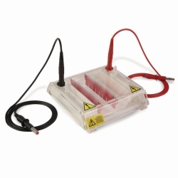 Cuve d'électrophorèse MultiSUB MiniRapide