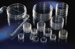Cell Culture Dishes, Nunclon™ Surface, PS, treated, sterile, round