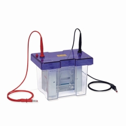 Elektrophoresekammer omniPAGE TETRAD Mini-Set