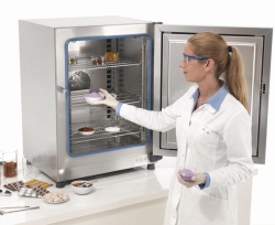Ovens Heratherm™ Advanced Protocol Security, with gravity convection