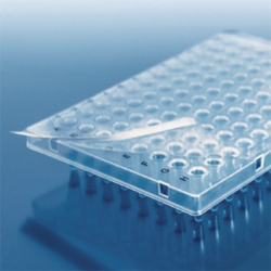 Paket BRAND® Premium-PCR-Platten mit erhöhtem halben Rahmen + BRAND® PCR-Verschlussfolie