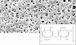 Membranfilter, Regenerierte Cellulose